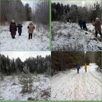 Экскурсия в зимний лес